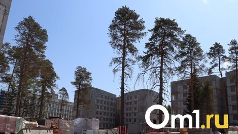 В Новосибирске эко-активисты не смогли остановить вырубку леса из-за строительства кампуса НГУ