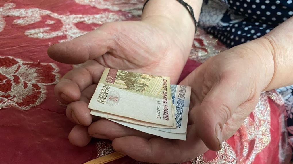Пенсионерка из Новосибирска попросила Путина выплатить 10 тысяч рублей в День пожилого человека