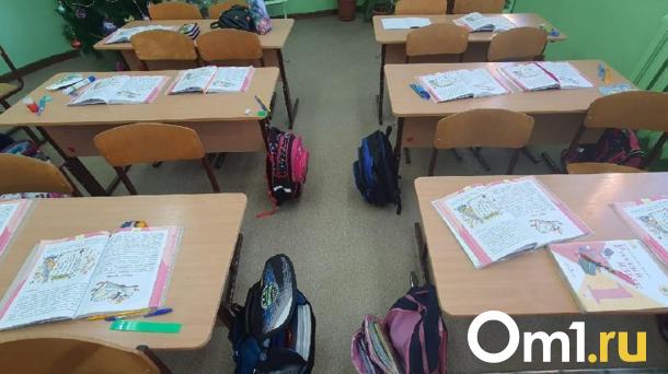 Через две недели начнутся весенние каникулы в школах Новосибирска
