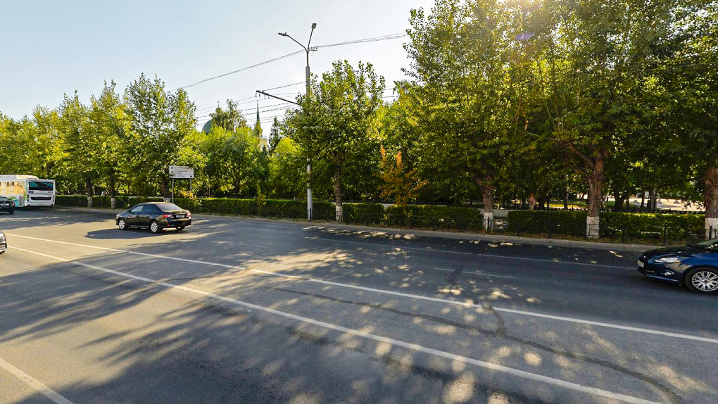 Мэр города Омска наложила вето на вырубку тополей на проспекте Карла Маркса