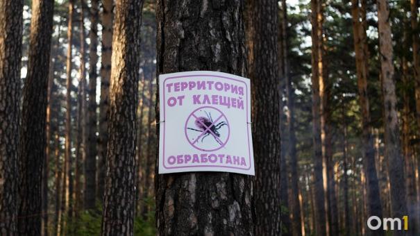 Сезон клещей начинается: обработку от опасных насекомых начали в Новосибирской области