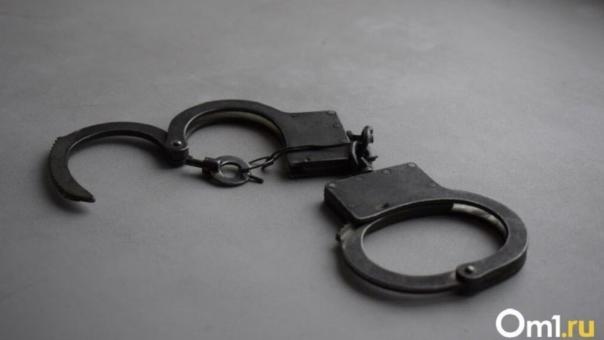 Экс-директора муниципального учреждения Новосибирской области признали виновной в превышении полномочий