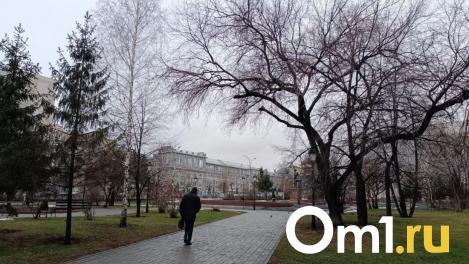 До +12 градусов обещают в субботу в Новосибирской области — затем резкое похолодание