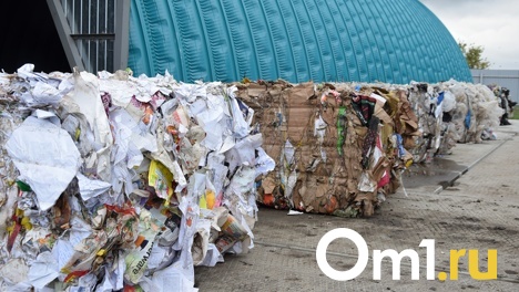 «Вымрут редкие животные»: новосибирский эколог заявила о рисках строительства полигона ТКО в Раздольном