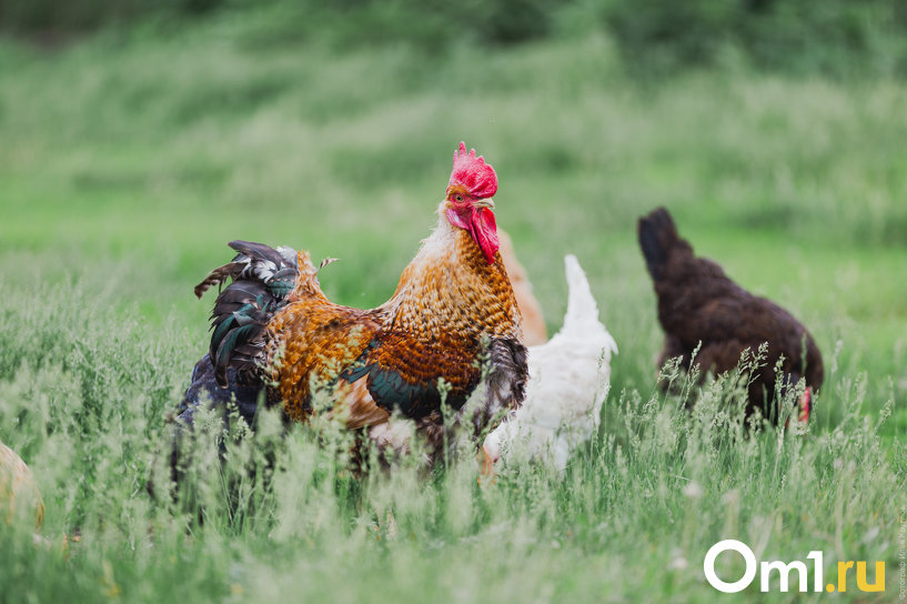 Изображение фоторепортажа