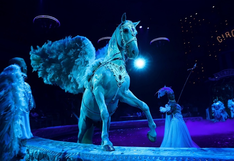 Изображение фоторепортажа