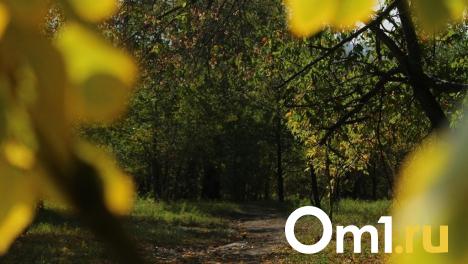 В парке им. 300-летия Омска установят светильники за 1,5 миллиона