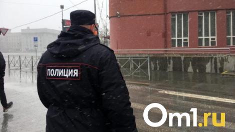 Ликуют правоохранители: в Новосибирской области зафиксировано снижение преступности