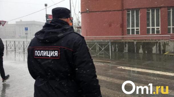 Ликуют правоохранители: в Новосибирской области зафиксировано снижение преступности