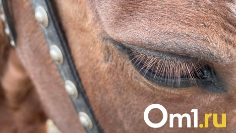 Что нельзя делать мужчинам и женщинам 18 февраля