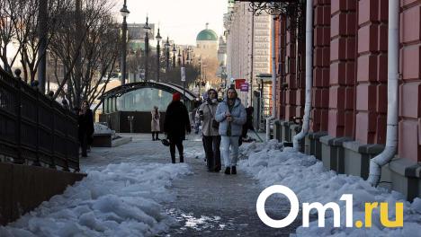 Потепление в Омске принесёт новую волну снегопада
