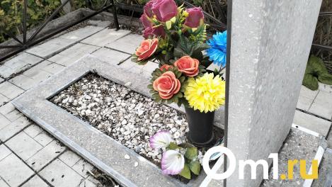 «Игрушки и венки сожжены»: неизвестные подожгли могилу малышки, умершей после операции в Новосибирске
