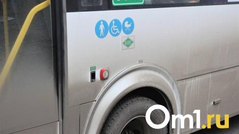 На омском Левобережье водитель автобуса насмерть сбил пожилую женщину