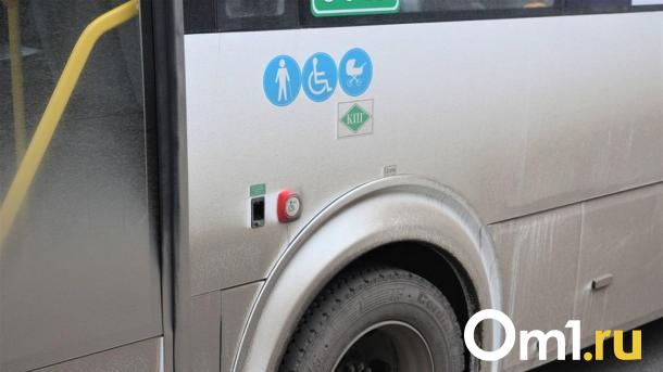 На омском Левобережье водитель автобуса насмерть сбил пожилую женщину