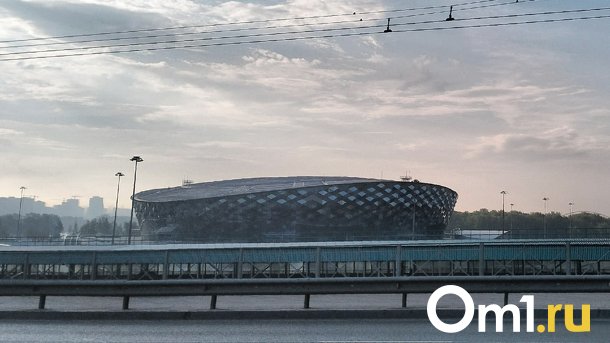 Дорогу к новому ЛДС в Новосибирске проложат за 15,1 млн рублей