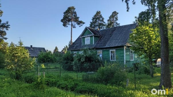 Как защититься от клещей на даче? Советы Роспотребнадзора Новосибирской области