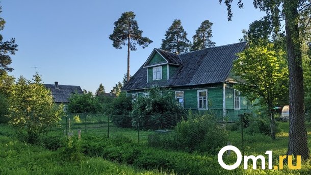 Как защититься от клещей на даче? Советы Роспотребнадзора Новосибирской области