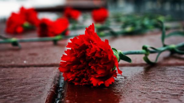 Мемориал расстрелянному фотографу установили под Новосибирском