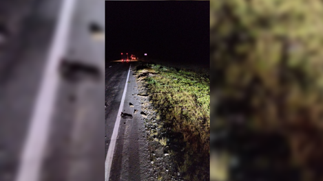 Водитель грузовика на ночной трассе сбил мужчину на лошади