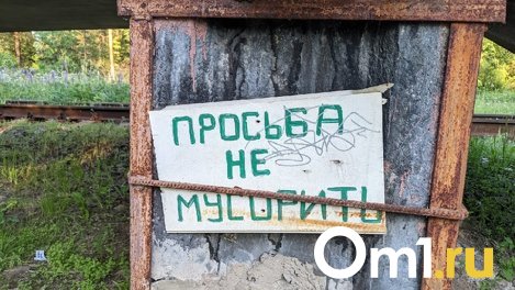 В Омске рассказали, как правильно собирать мусор после субботника, чтобы он не стоял в мешках неделями