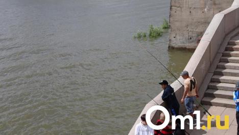 Стали известны самые популярные места для рыбалки у омичей
