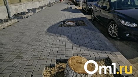 Мэрия объяснила вырубку деревьев в Омске ошибками предшественников