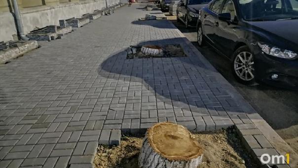 Мэрия объяснила вырубку деревьев в Омске ошибками предшественников