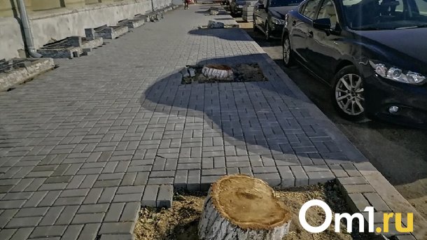 Мэрия объяснила вырубку деревьев в Омске ошибками предшественников