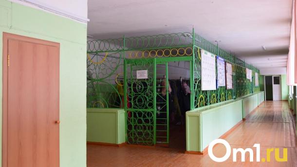 В Омске ищут подрядчика для капремонта школы № 13 имени Пушкина