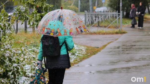 Дожди, туман и гололед. Столбик термометра в Омске поднимется выше нуля