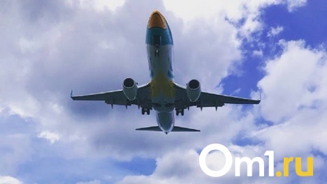 Авиакомпании отменили рейсы из Омска в Египет и Киргизию