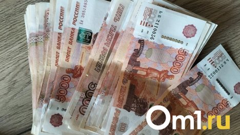 Омский пенсионер, поверив в аварию дочери, потерял 100 тысяч рублей