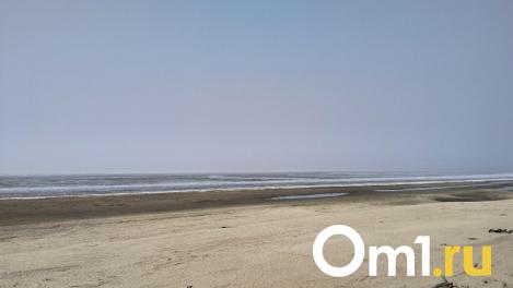 Спасатели предупредили о затоплении островов на Оби в Новосибирской области