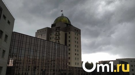 Жара и кратковременные дожди ожидают новосибирцев на предстоящей неделе