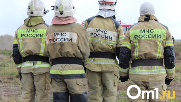 В МЧС рассказали, что делать омичам во время запуска сирены