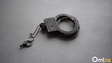 Жителя Новосибирска, которого подозревают в стрельбе в центре, отправили под домашний арест