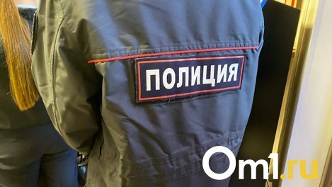 В Омске задержали мужчину, который обнажал половые органы перед школьниками