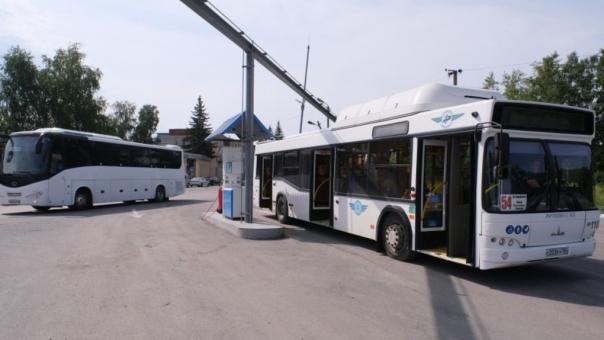 Доля муниципальных автобусных перевозок в Новосибирске увеличилась до 30%