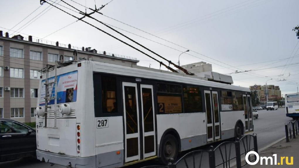 Из-за ремонта моста у Телецентра временно исчезнет троллейбус № 67