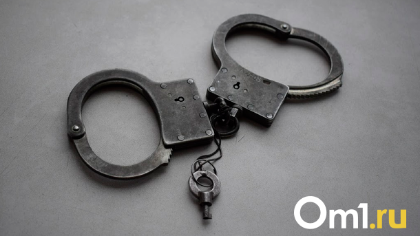 Сбил ребёнка и скрылся: депутат из Татарска Новосибирской области сам явился в полицию