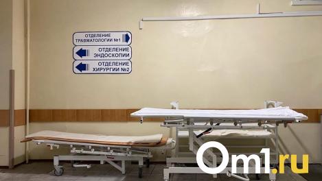 Омичке на голову упал кусок льда