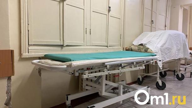 В Омской области зарегистрирован первый случай заболевания бешенством у человека