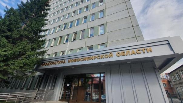 Малыши гуляли раздетые в мороз: прокуратура проверит опеку после жалоб на многодетную мать в Новосибирске