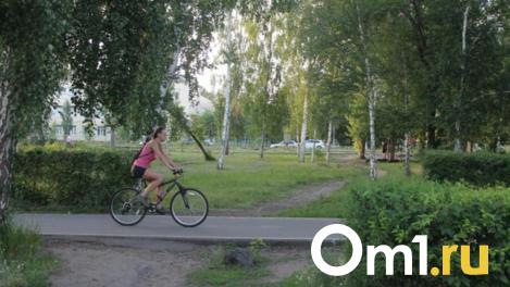 От Stels за 15 тысяч до шоссейного GMINDI: как выбрать велосипед в Новосибирске