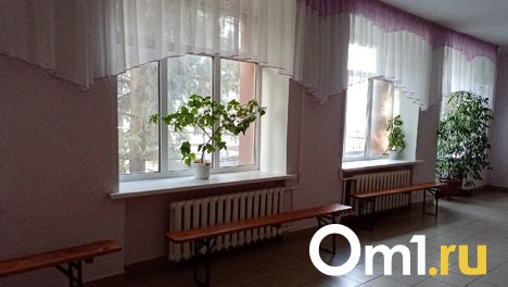 В Омске 8-летнему мальчику сломали позвоночник в школе