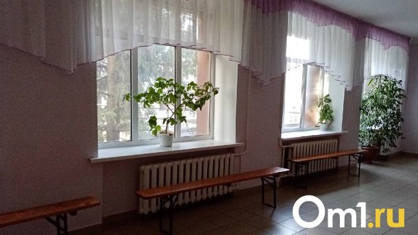 В Омске 8-летнему мальчику сломали позвоночник в школе