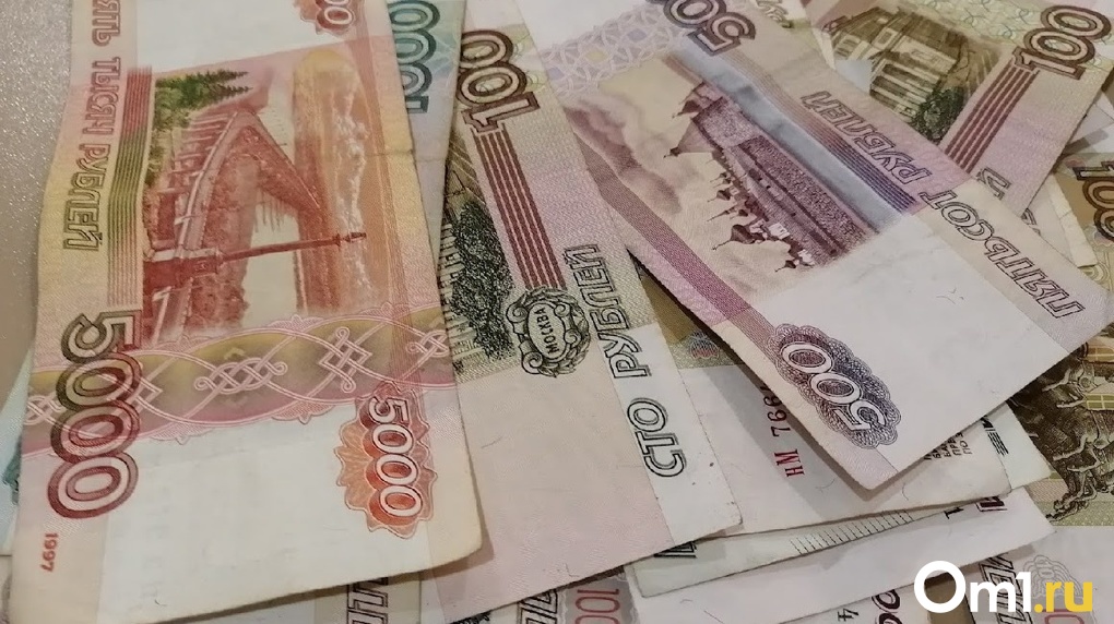 В Госдуме рассказали о выделении дополнительных 52 миллионов рублей для выплат омичам