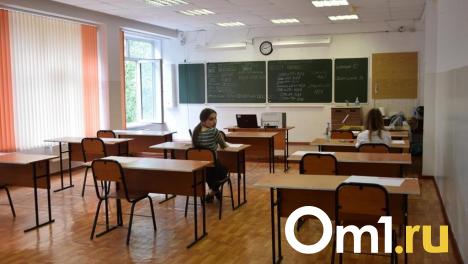 Стало известно, какие педагоги наиболее востребованы в омских школах