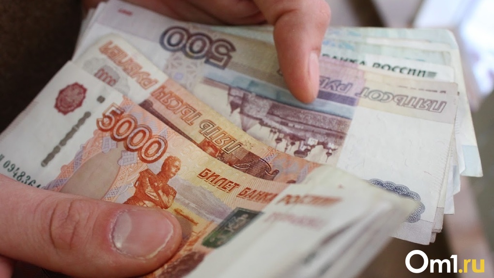 Омские депутаты получат по 100 тысяч рублей к Новому году
