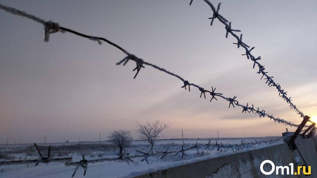Экс-депутат Омского горсовета Дмитрий Петренко не смог обжаловать приговор за фейки об армии